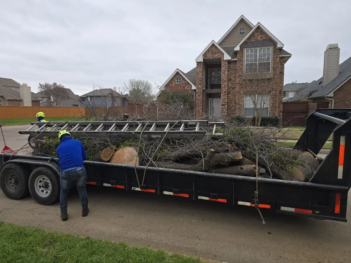 Expert Lot Clearing with proper safety equipment in Hollandale